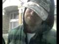 videos de Wood Pecker