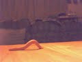 Worm Crawl Worm Crawl