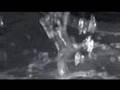 organic stereo brightness