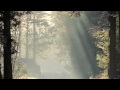 Temprano Llegara -Emmanuel Espinosa-