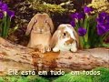 feliz aniversário