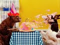 feliz aniversário
