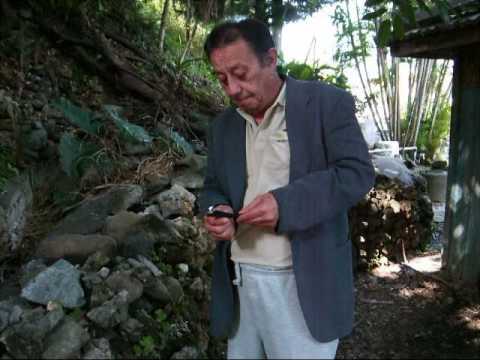 how to obtain koseki tohon