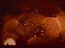First H-Bomb Detonation
