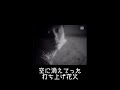 -jitterin-jinn.html