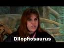 Travel back in time 200 million years...