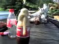 Cola feat. Brause