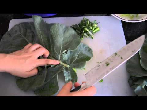 how to harvest lacinato kale