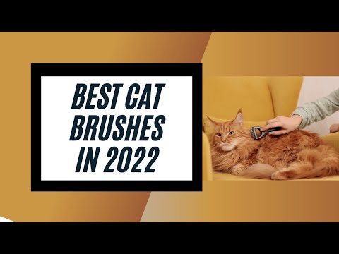 Best Cat Brushes in 2022| Cat Comb Reviews| How to Choose a Cat Brush?|Slicker Cat Brush