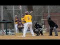Baseball Home Run by Jeramey Vauss McNamara thumbnail