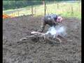 videos de Ali Dick at Dunoon.avi