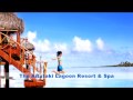 Cook Islands & NZ TV AD