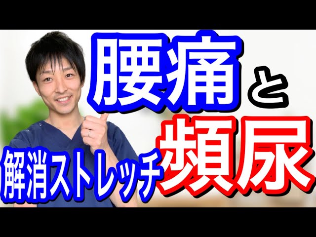 腰痛と頻尿　簡単ストレッチ