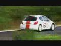 Peugeot 207 S2000
