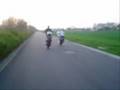 videos de Rust Zacht  Imad