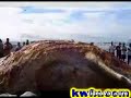 African Giant Sea Turtle ? African Giant Sea Turtle ?