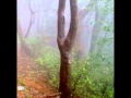 Paranormal picture taken in Matheran, India