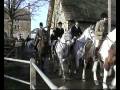 videos de Local Hunt