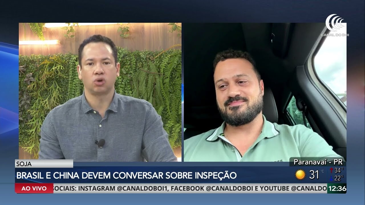 Exportações da soja brasileira enfrentam entraves e pressionam mercado