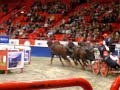 Stockholm International Horse Show