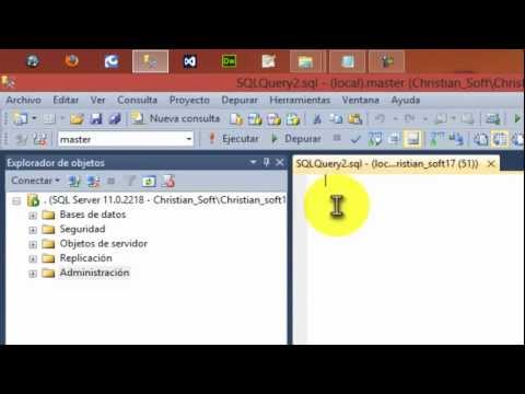 Como crear procedures almacenado (insertar datos)