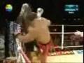 A1 KIckbox Orhan Dogan TR- Patrice Quarteron FR 20/07/07