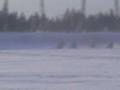 Dirt-bike-ice-racing