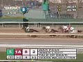 2008 Wood Memorial Stakes - Tale Of Ekati 2008 Wood Memorial Stakes - Tale Of Ekati