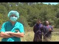 Para mayor comercilidad del vídeo hemos decidido cerrarlo con una tercera entrega de esta trilogía de culto y hurto. Teníamos que aprovechar la solera que pasamos en el picnic de los pinares de Zuera.