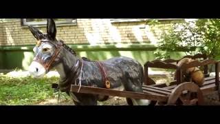 EDUCACIÓN ANTE TODO.