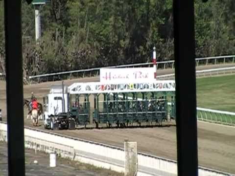 horse racing