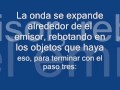 Ecolocacion