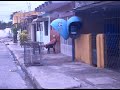 Ipsep - Recife