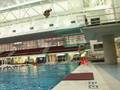 videos de 0811-diving WEB.mp4