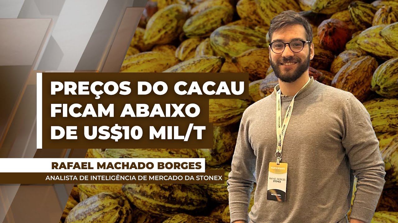 Demanda por cacau preocupa mercado e preços caem abaixo de US$10 mil/t
