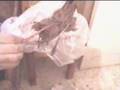 يد بشرية قبل التحنيط - Embalming and drying 000
