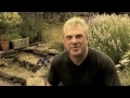 Pic-Nic Village Brand Development.mp4