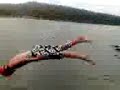 Funny Dive