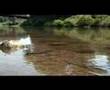 Decline and Renewal: Five Mile Creek Greenway Partnership, 1