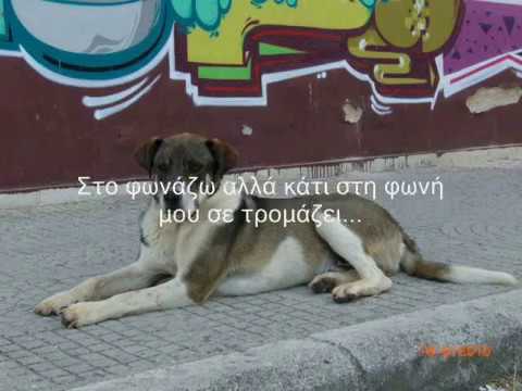See video