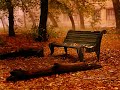 A Lounge In The Fall - Music By Cubed Circle (Lounge Music) A Lounge In The Fall - Music By Cubed Circle (Lounge Music)