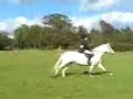 Patrick and I at hayfield gymkana in workin hunter