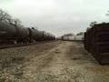 CSXT 8033 @ Lockport