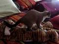 It's good to be kneaded