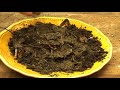 Organic Fertilizing : Adding Organic Fertilizer to Garden