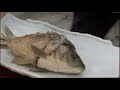 Cocinando con los Chinitos animales vivos