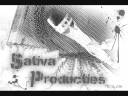 Sativa Producties - Switch (instumental)