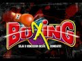 boxing   noite de boxe   15   brinquedos ifa
