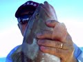 DaParson:  Progreso -  Meridia Fishing -