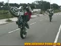 palamos x treme